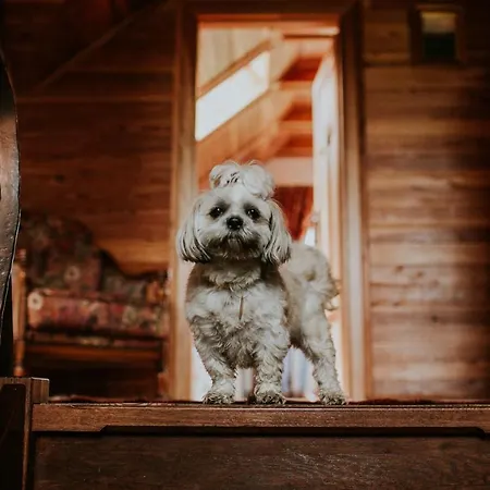 Villa Kuligi Casa vacanze *